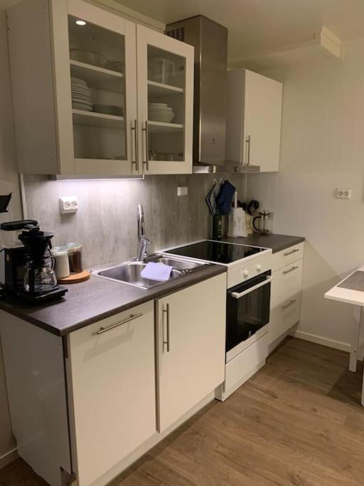 Gimle Cozy Apartment Тромсе Екстер'єр фото
